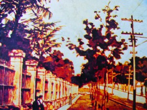 biblioteca 075 copy.jpg